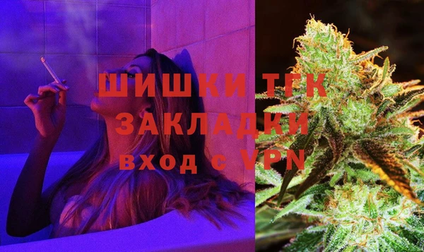 мяу мяу кристалл Гусь-Хрустальный