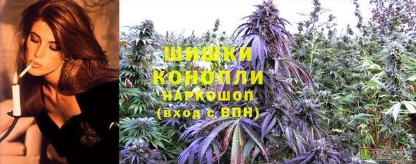 ПСИЛОЦИБИНОВЫЕ ГРИБЫ Янаул