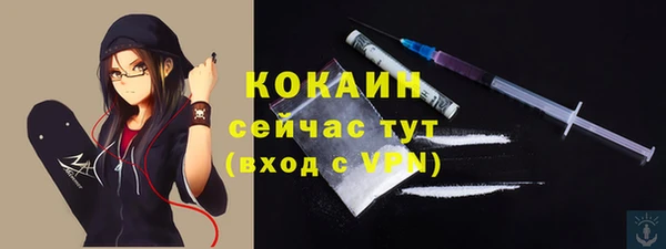экстази Гусев
