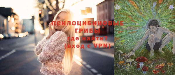 ПСИЛОЦИБИНОВЫЕ ГРИБЫ Янаул
