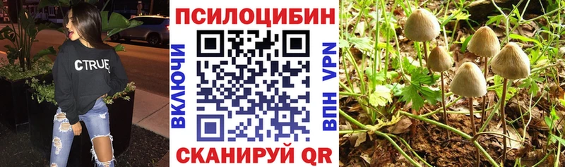 Галлюциногенные грибы мухоморы  купить   Приморск 